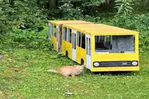 Клин советский: окно в историю - 8