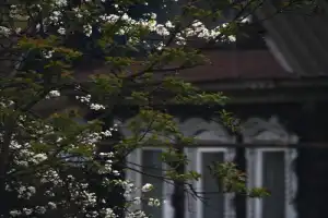 Тайный Городец: когда главное уже посмотрели - 6