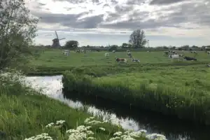 Велопрогулка по окрестностям Амстердама - 8