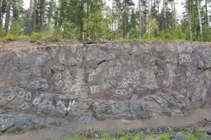 Природа Карелии: по следам древних ледников и Петра I - 11