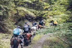 Верхом на свободе: побег из Боржоми в нацпарк «Харагаули» - 6
