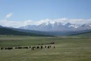 Бурятская Швейцария - 19