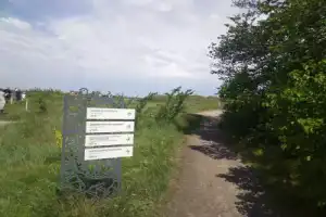 Чудеса воронежской природы (на вашем автомобиле) - 6