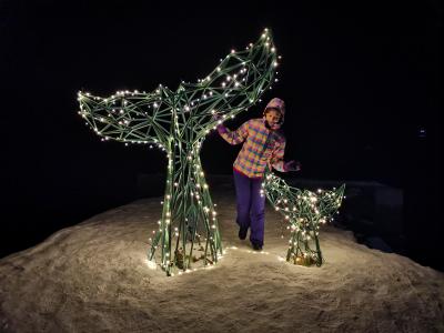 Фотопоездка в Териберку — киты, тундра и северное сияние - 12