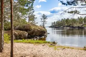 В поисках Ладожской нерпы: авторская прогулка на катере - 8