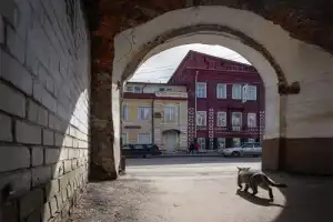 Захватывающий Нижний: от спиритических сеансов Даля до соляных афер Захватывающий Нижний: от спиритических сеансов Даля до соляных афер