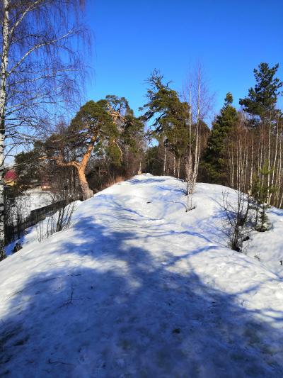 Городец — город пряников и деревянного зодчества - 7
