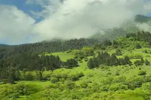 Познать Грузию: Мцхета и Казбеги из Тбилиси (всё включено) - 16