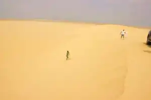 Джип-сафари + сэндбординг по дюнам Сахары - 5