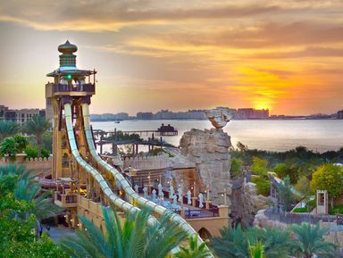 Билеты в аквапарк Wild Wadi