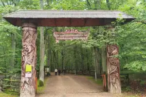 Трансфер из Бреста на экскурсии в Беловежскую пущу - 15