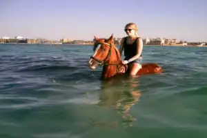 Конные прогулки по пустыне и к Красному морю - 11