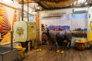 Костромские выходные с дегустацией сыра и посещением лосиной фермы - 5