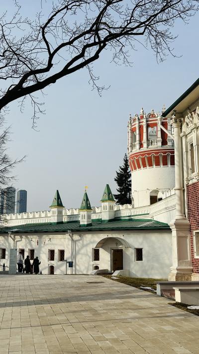 Царственные насельницы Новодевичьего монастыря - 4