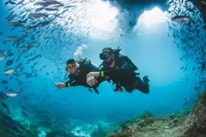 Индивидуальный дайвинг у берега Красного моря - 2