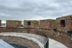 Трансфер из Бреста на экскурсию в Беловежскую пущу - 14