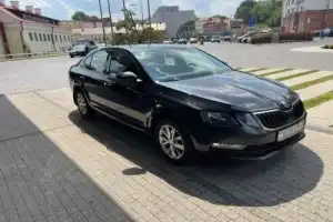 Трансфер из Бреста в Мирский и Несвижский замки и обратно - 10