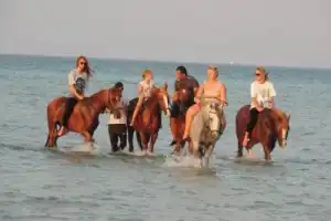 Конные прогулки по пустыне и к Красному морю - 12