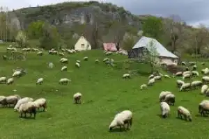 На север Черногории - 17