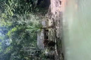 Экскурсия-треккинг: джунгли Пхукета + водопад - 9
