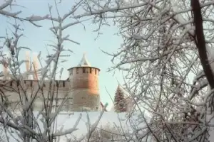 Надёжный Нижний: экскурсия по территории кремля - 3