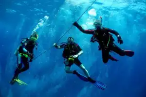 Дайвинг в Чёрном море (из Сочи)