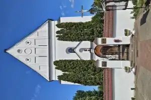 Из Бреста — в заповедный мир Беловежской пущи - 19