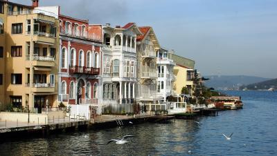 Наедине со Стамбулом: пригородные пейзажи - 3