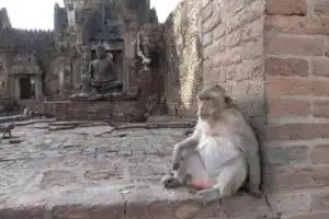 Реальный Таиланд: экскурсия по местам поклонения и силы — из Бангкока - 12