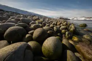 Териберка за 1 день: посёлок, китовое сафари и дегустация морепродуктов - 18