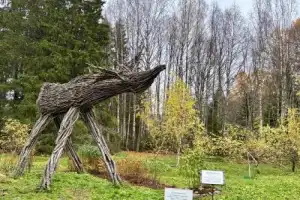Автобусная экскурсия «Золотое кольцо Карелии» (из Петрозаводска) - 6