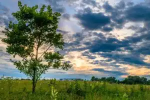 В Боголюбово — из Владимира + Владимиро-Суздальский музей-заповедник - 6