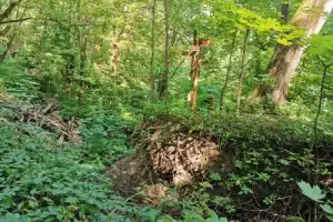 История и мистика древнего Смоленска - 17