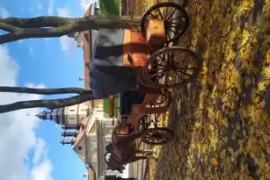 Несвижский и Мирский замки за 1 день