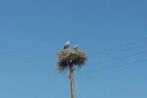 Экскурсия в Хор Вирап и Нораванк - 5