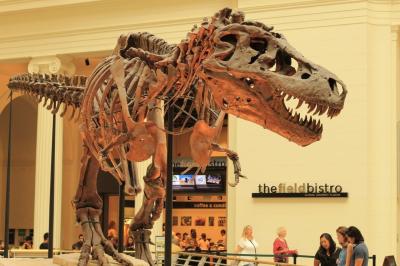 Музей естественной истории Филда в Чикаго: билет и аудиоэкскурсия