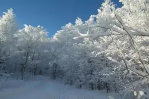Медвежьегорск, финские укрепления и природа Карелии - 23