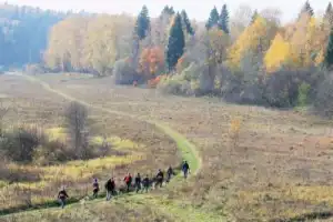 Треккинг по лесу в компании хаски - 5