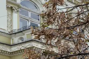 Путешествие из Белграда в Суботицу — с вином и спа - 9