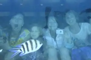 Морская прогулка на лодке с прозрачным дном - 6