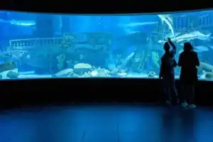 Билет и трансфер в аквариум Антальи - 5