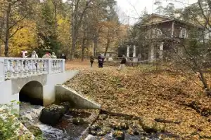 Комарово и дачный Петербург - 9