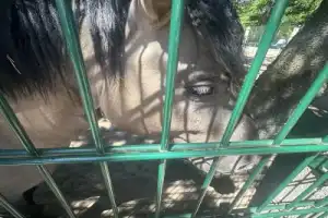 Из Бреста — в Беловежскую пущу - 9