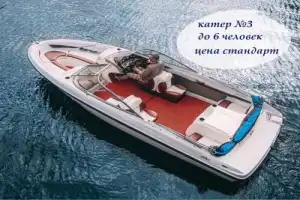 На частном катере по рекам и каналам Петербурга! - 4
