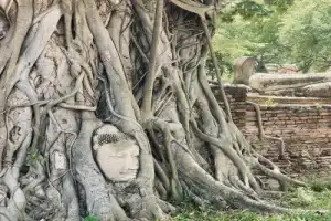 Из Бангкока в Аюттайю — землю королей - 2