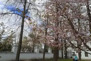 Ярославль сквозь века - 6