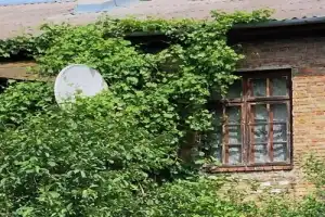Берестейский Арбат и дворики исторического центра - 13