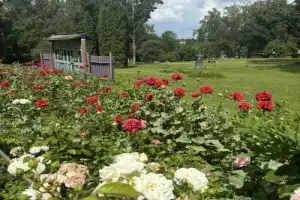 Из Смоленска — в усадьбу Талашкино - 2