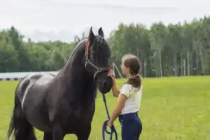 Городецкий край — русская Финляндия (из Нижнего Новгорода) - 5