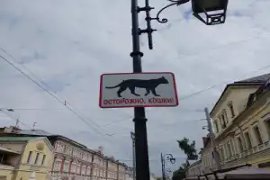 Нижегородские мурлыки